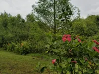 Beautiful Villa! On Wildlife Area, Natural Privacy! Close to Everything. Welcome