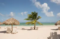 Beachfront Playa Turquesa 2 BR/2 BA Penthouse Condo W/Rooftop 50mbps WIFI