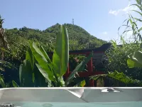 Piton Bungalows Ecolodges Hotels in Deshaies