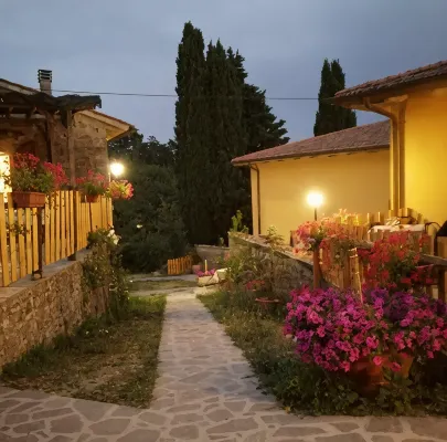 Fattoria di Cintoia - Evcil Hayvan Kabul Edilen Alan