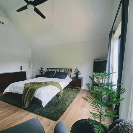 Black Mountain Pine HouseModern, Homey, and Close to Town!