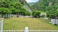 Seongju Muheul Nine Pension - Homestays