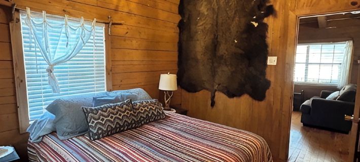 Cozy Log Cabin called Buffalo Horizon. Sleeps 4.  Close to Frio River Hoteles en Condado de Uvalde