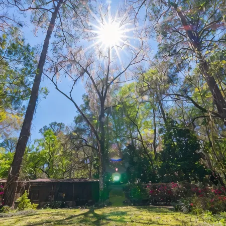 Breathtaking Rainbow River single family home