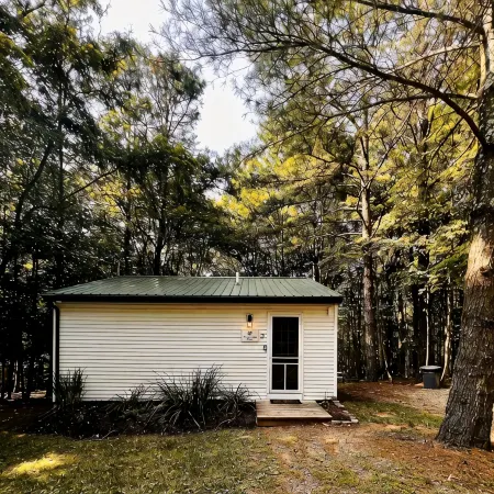 Prancing Doe Sleeps 6, or Rent All 4 for 20. Horseback Riding Across the Rd!