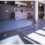 Hamanomiyabitei Ichii - Suối nước nóng