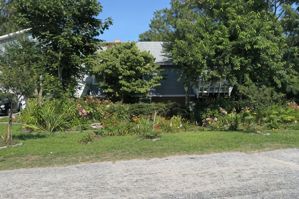 Photo 5 of 6