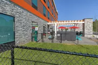 希爾頓阿爾科亞諾克斯維爾機場惠庭套房酒店 - 停車場