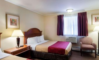 Econo Lodge Inn & Suites