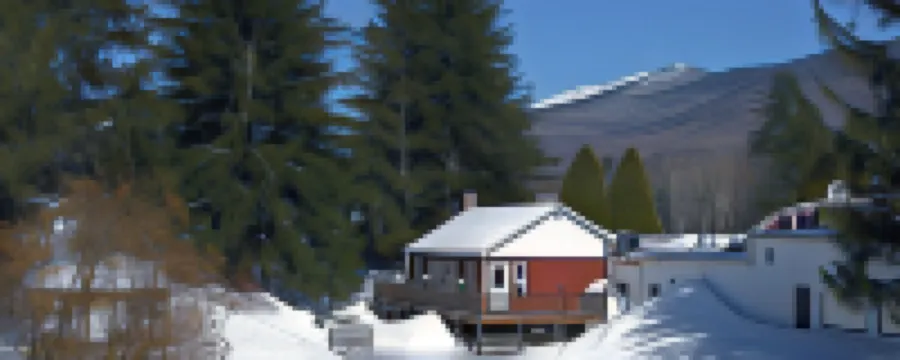 وودووردز وايت ماونتن ريزورت، بي دبليو سيجنتشر كوليكشن فنادق في 