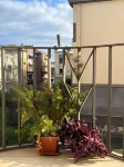 Deodato Guest House