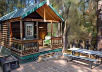 Lazy Z Resort - Wifi