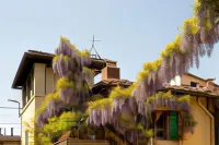 B&B le Cannelle Fiesole Hotels in Fiesole