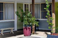 Memphis Motor Inn - Pet Friendly