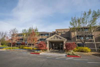 Maple Tree Inn Các khách sạn gần California South Bay University