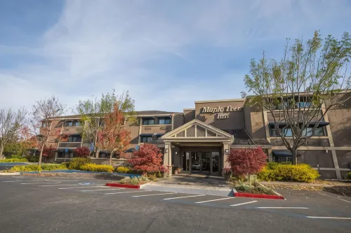 Maple Tree Inn
