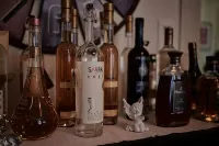 Max Aviation Villa & Apartments