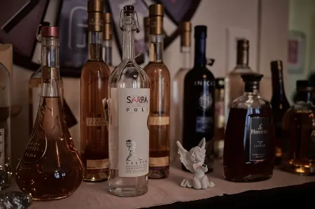 Max Aviation Villa & Apartments