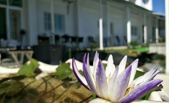 Hao Homestay