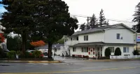Park Motel Hotels near Needle Peak