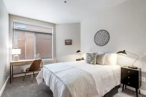 Seattle Belltown Penthouse- Parking, Gym, Pool, Spa / 99Walk Score