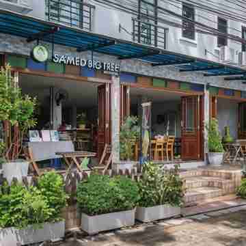 Samed Big Tree Hotel Exterior