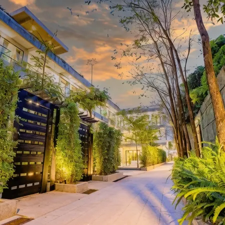 Rainforest Hotel by Nsun