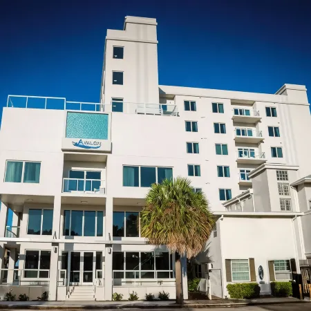 The Avalon Club