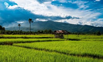 Suan Sook Homestay