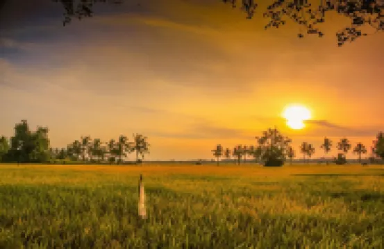 Homestay Ira Jaya - 4 Unit Rumah