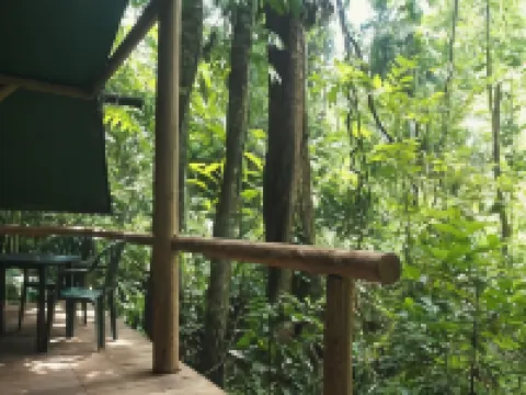 Daintree Crocodylus Hotels in Daintree
