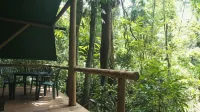 Daintree Crocodylus Hotels in Cape Tribulation