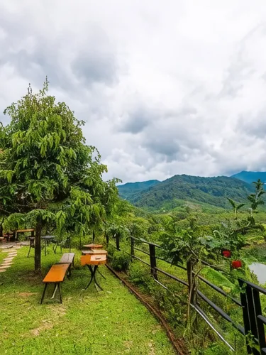 รูปภาพของBaanhatsompaen homestay