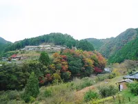 Kamigoten Ryokan Hotel a Tanabe