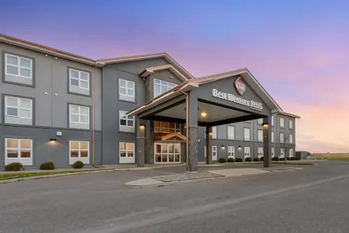 Best Western Plus Brandon Inn - Pet friendly