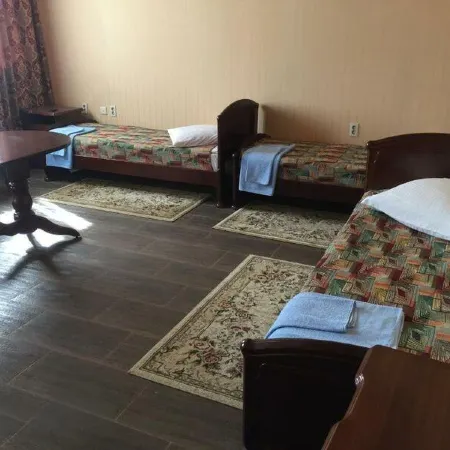 Inn Vesna Отели в г. Елец