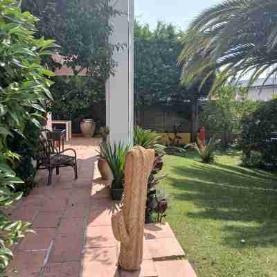 Studio with terrace and garden Hotel Exterior