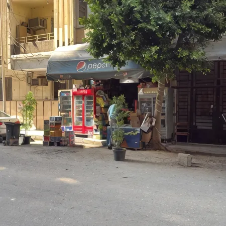 Villa Apartment Nile View in City Center