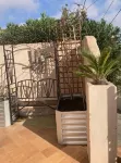 Joli Mas T3 vue Mer. Animaux de Compagnie Acceptés !
