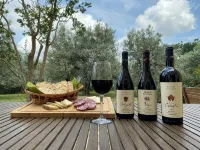 OLIVE TREES - FARMHOUSE ESTATE SAN DONATO