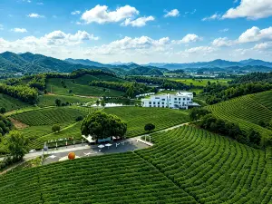 Weichi · Xinchi Cherry Blossom Valley Vacation Apartment