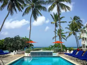 Bougainvillea Barbados