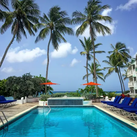 Bougainvillea Barbados