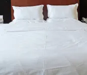 Hechi Fuxingyuan Hotel
