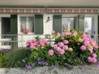 Elegant Euganean Hills apartment with garden view