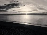 Shore beats working Hotel di Devonport