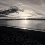 Shore beats working