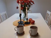 Apartment Lavender Hill. Apartment with 2 bedrooms. A big terrace. Hotels in Brilon
