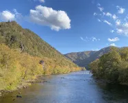 Cabin with a view! Walk to Appalachian Trail - Chalets