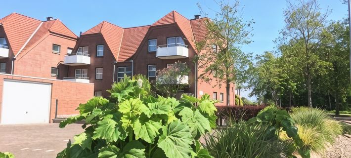 Beachfront 2-room apartment "Ruhekajüte" in Büsum Hotele w: Busum